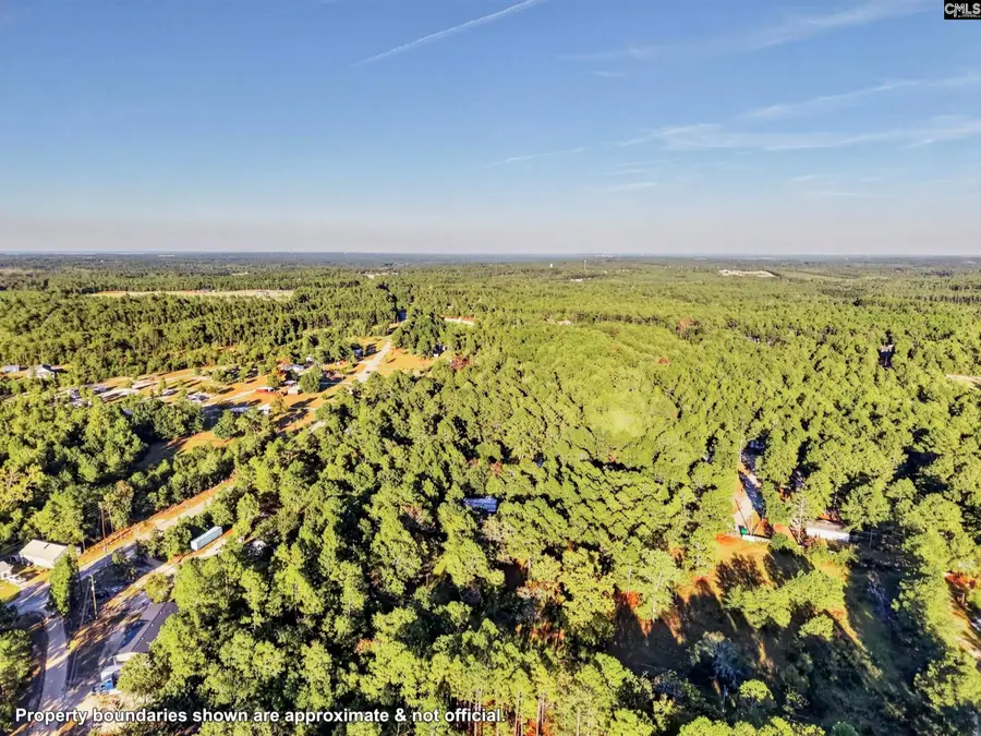 125 Chippewa Trail, Leesville, SC 29070 - #3