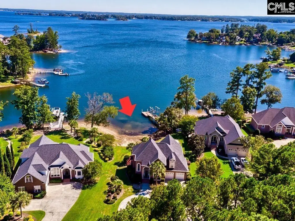 145 Bay Pointe Drive, Chapin, SC 29036 - #1