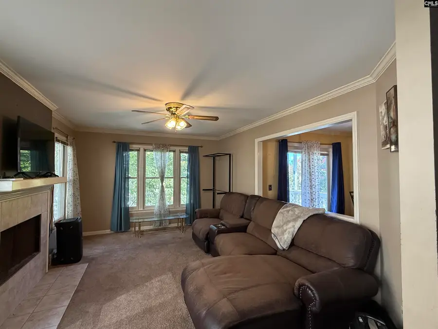 127 River Bluff Court, Columbia, SC 29210 - #3