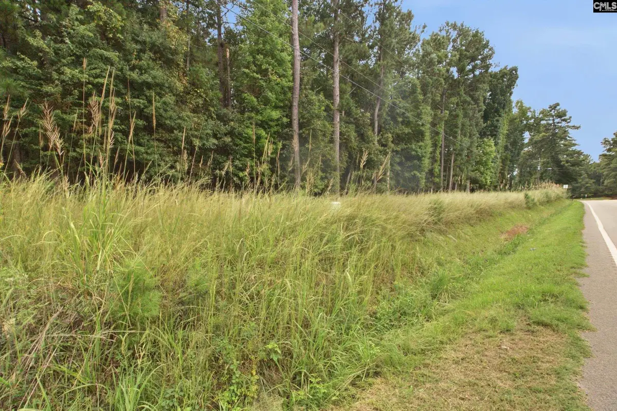 Tract A 215 Road, Jenkinsville, SC 29065 - #1