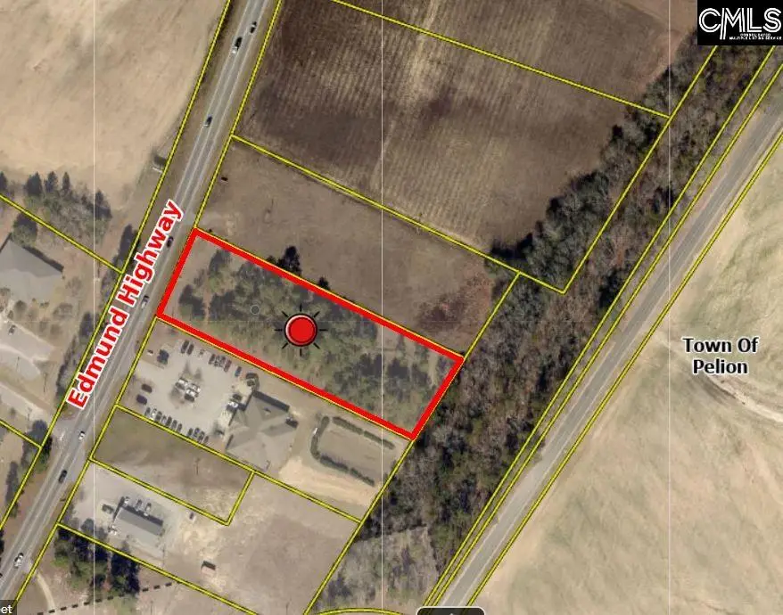 8053 Edmund Highway, Pelion, SC 29123 - #1