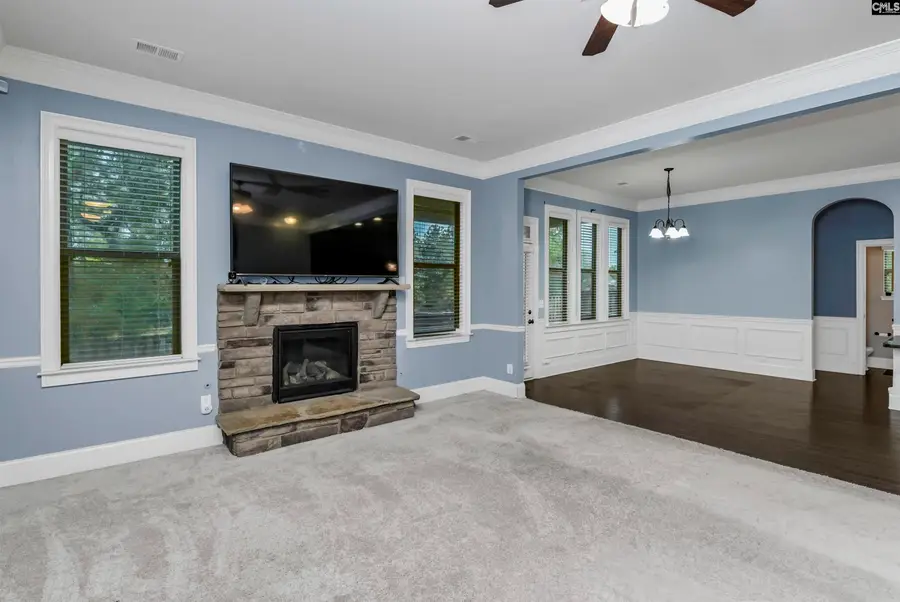 167 Elliptica Drive, Blythewood, SC 29016 - #3