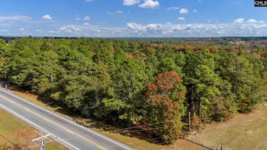Edmund Highway, Pelion, SC 29123 - #3