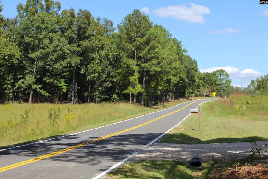 2178 Old Dutch Road, Little Mountain, SC 29075 - #3