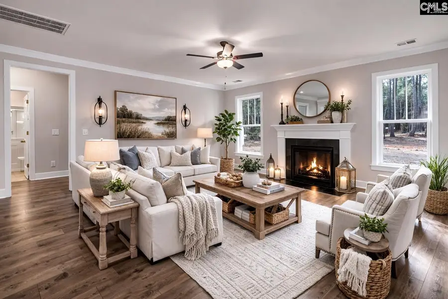 119 Greengarden Drive, Chapin, SC 29036 - #2