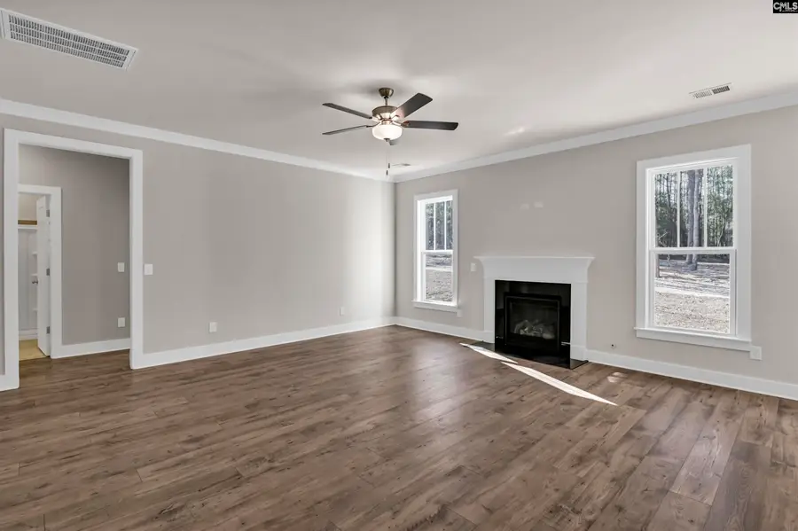 119 Greengarden Drive, Chapin, SC 29036 - #3