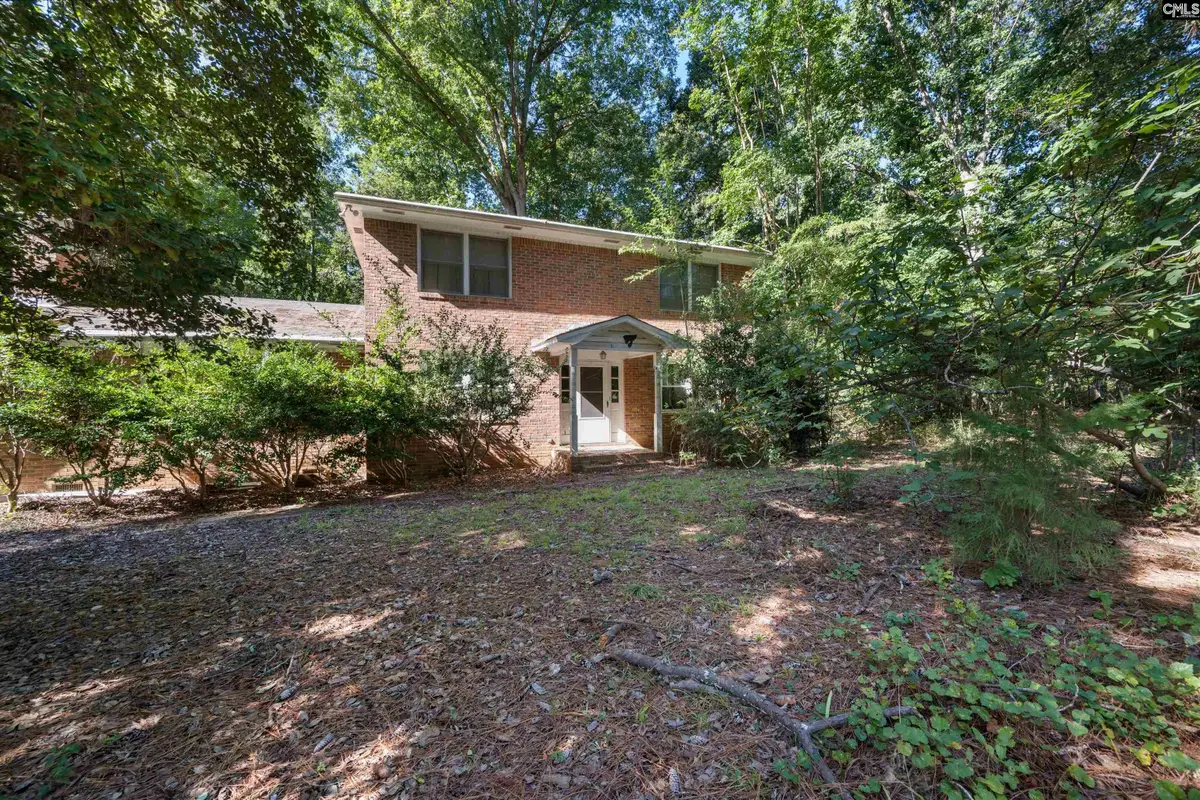 2450 Mineral Springs Road, Lexington, SC 29072 - #1