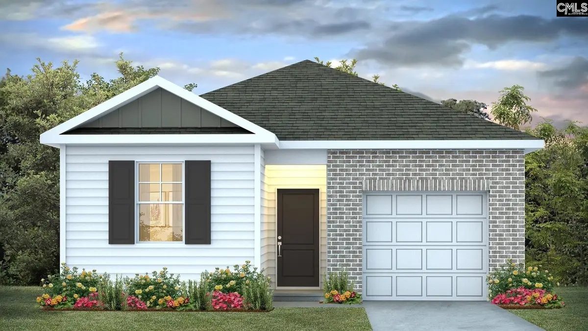 909 Snowflake Way, Lexington, SC 29072 - #1