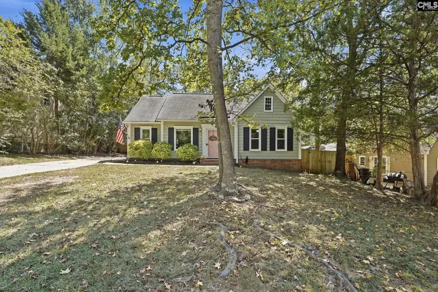 213 Dryers Hall Road, Irmo, SC 29063 - #3
