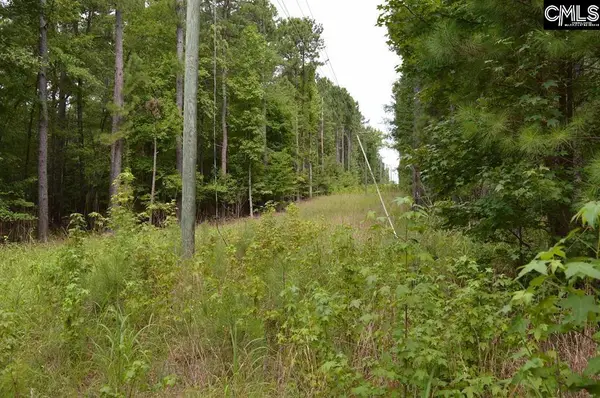 2087 Longtown Road, Ridgeway, SC 29078