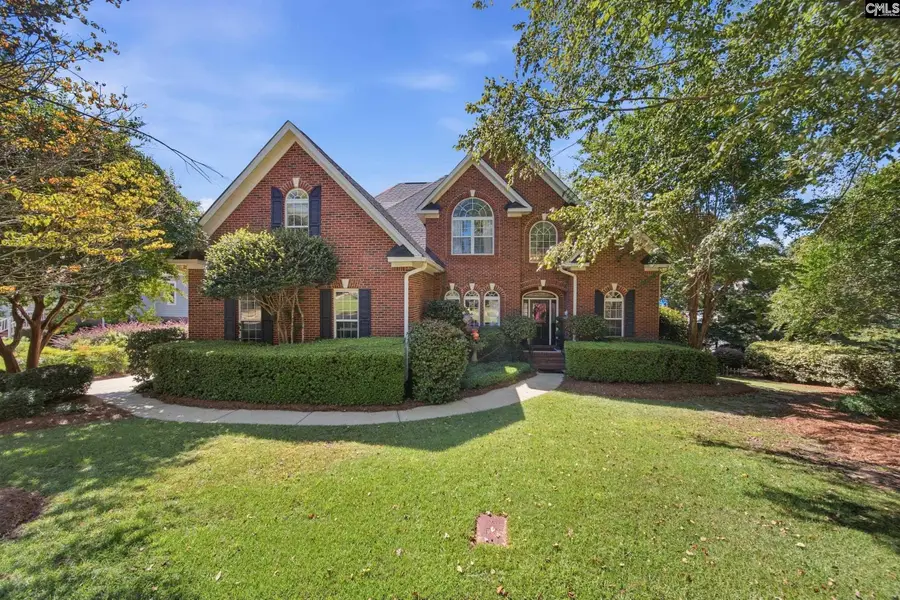 108 Water Links Drive, Chapin, SC 29036 - #2