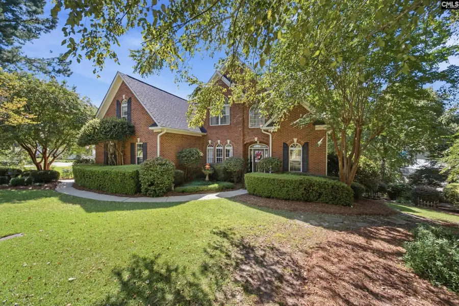 108 Water Links Drive, Chapin, SC 29036 - #3