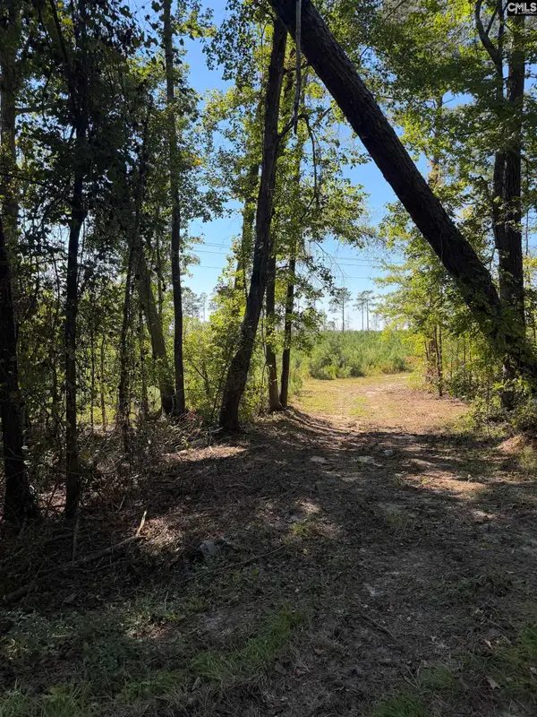 681 Tract 2 Barfield Road, Elgin, SC 29045