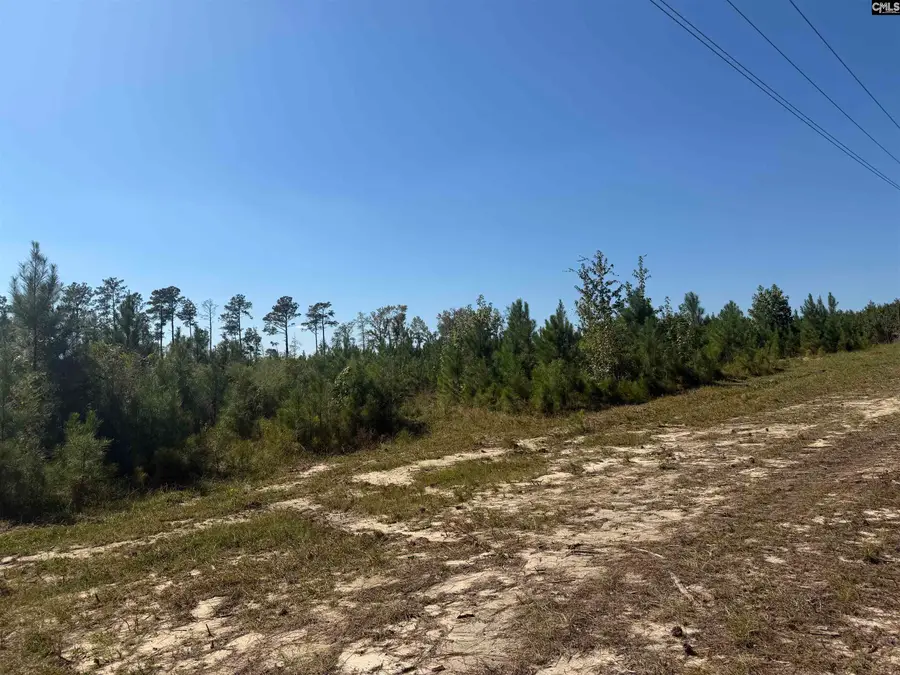 681 Tract 1 Barfield Road, Elgin, SC 29045 - #2