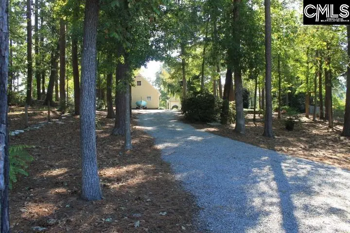 115 Rocky Ridge Road, Leesville, SC 29070 - #1
