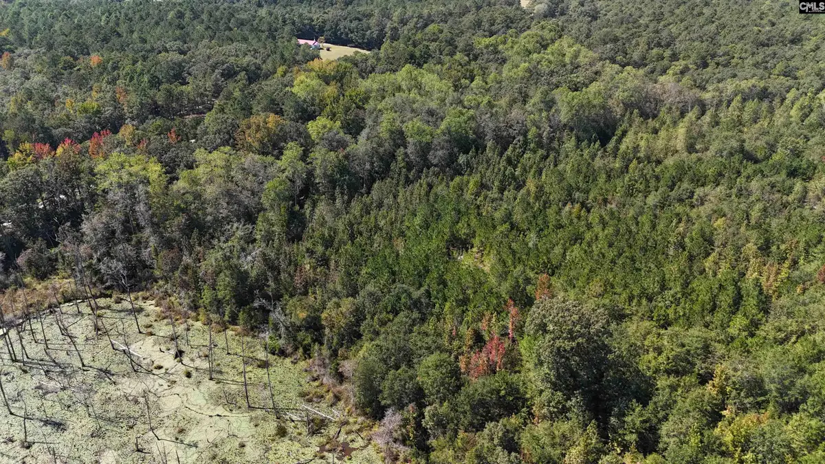 1754 Brewer Springs Road, Camden, SC 29020 - #1