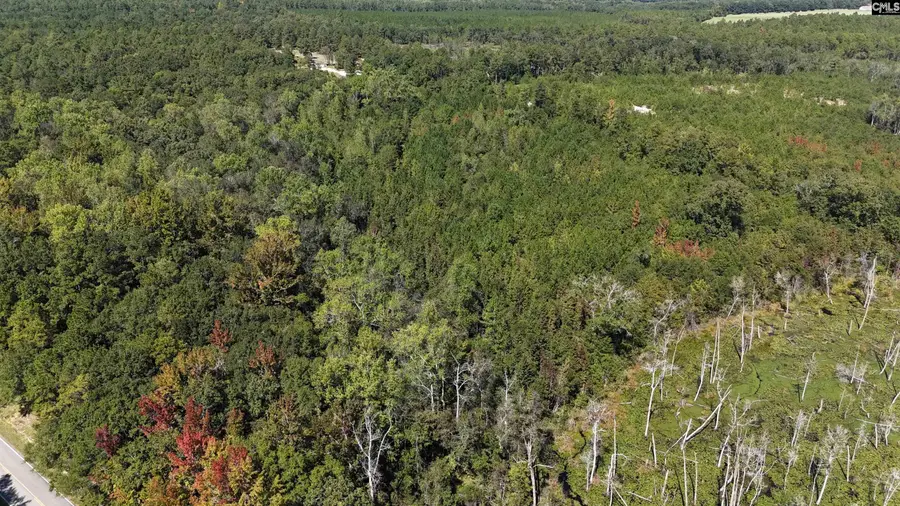 1754 Brewer Springs Road, Camden, SC 29020 - #2