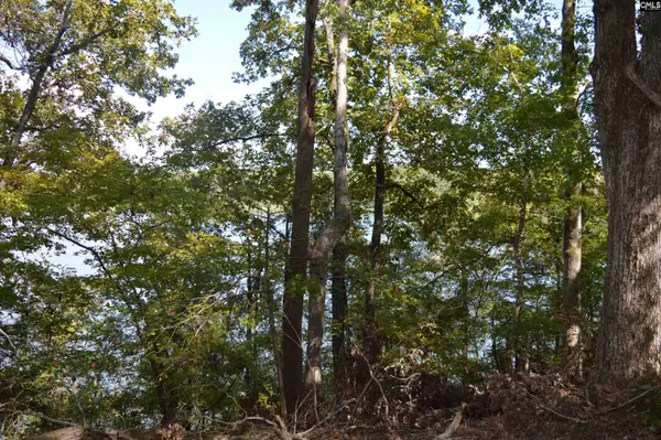 lot 25 Wateree Key Court, Winnsboro, SC 29180