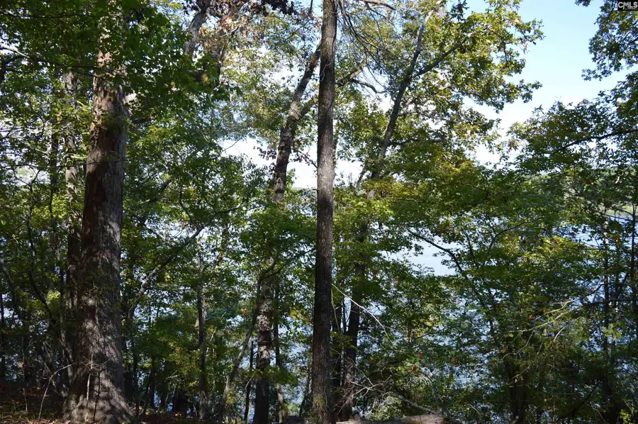 lot 25 Wateree Key Court, Winnsboro, SC 29180 - #2