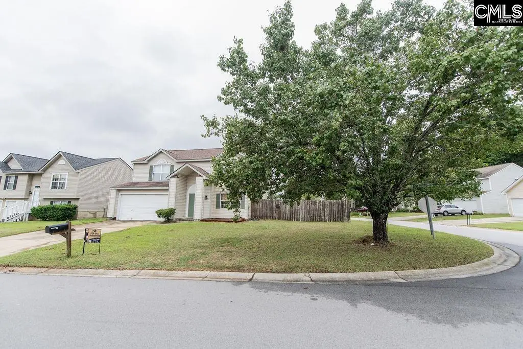 124 Stoney Point Drive, Chapin, SC 29036 - #1