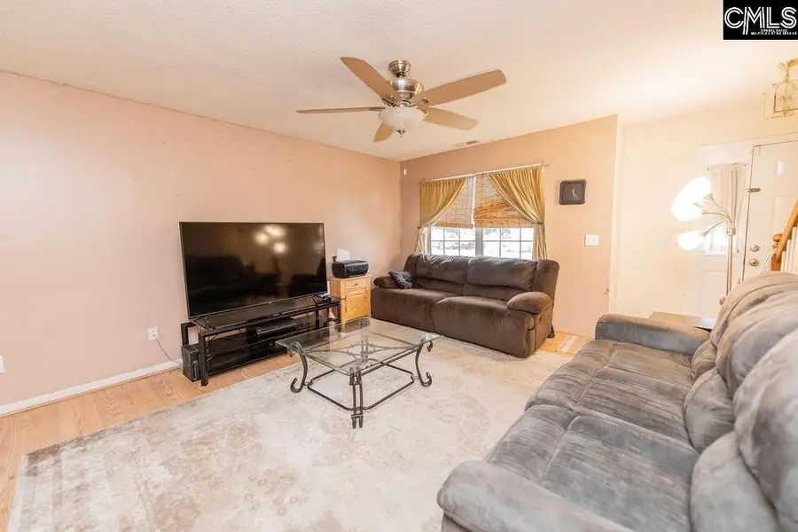 124 Stoney Point Drive, Chapin, SC 29036 - #2