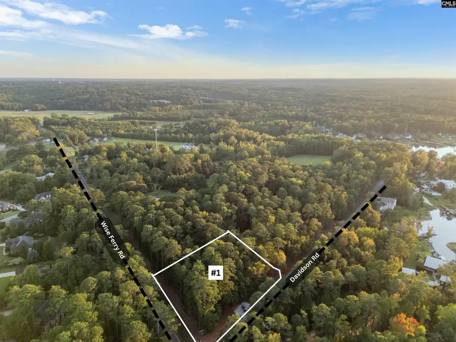 01 Davidson Road, Lexington, SC 29072 - #3