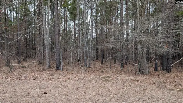 Lot 3 Retreat Way, Ridgeway, SC 29130