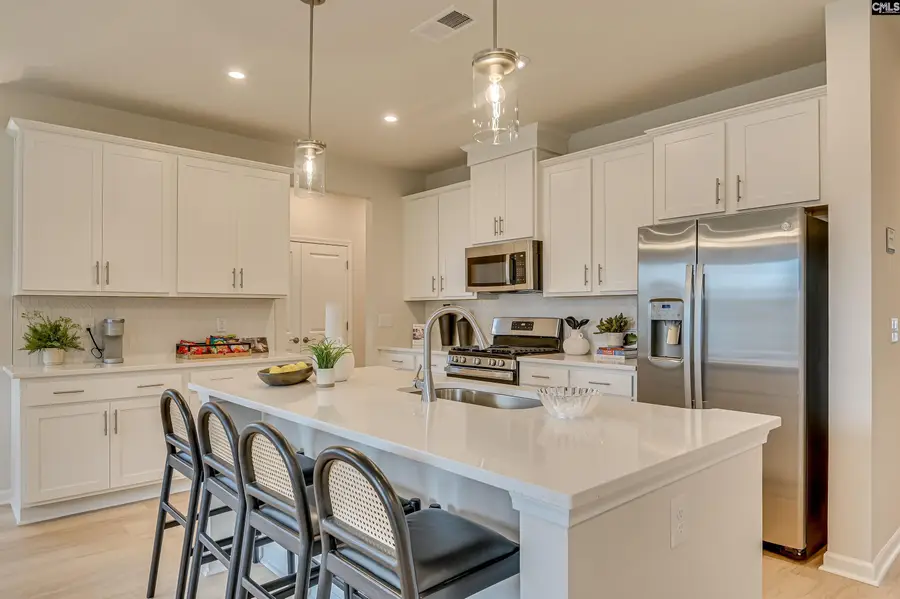 658 Griffon Drive, Chapin, SC 29036 - #3