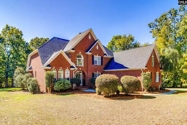 437 Caro Lane, Chapin, SC 29036