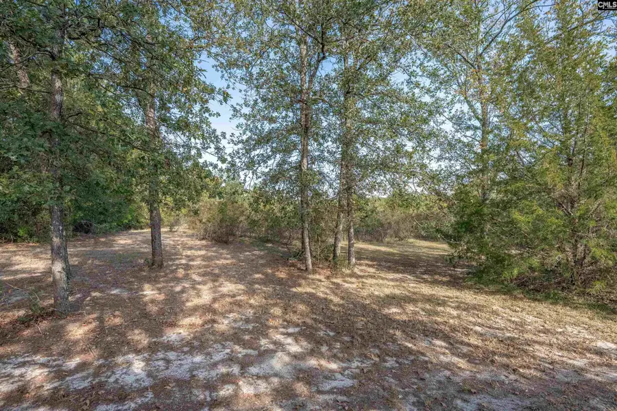 230 Mountain View Road, Batesburg, SC 29006 - #3