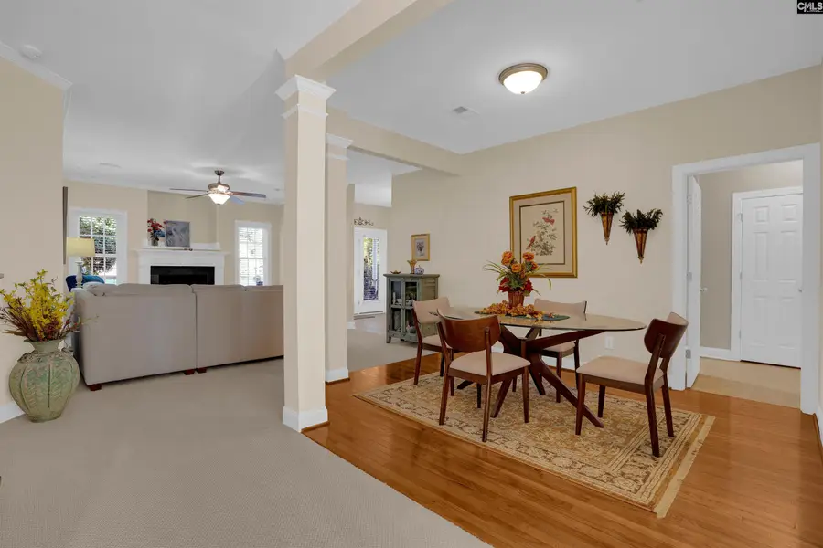 227 Fairway Ridge Drive, Chapin, SC 29036 - #2