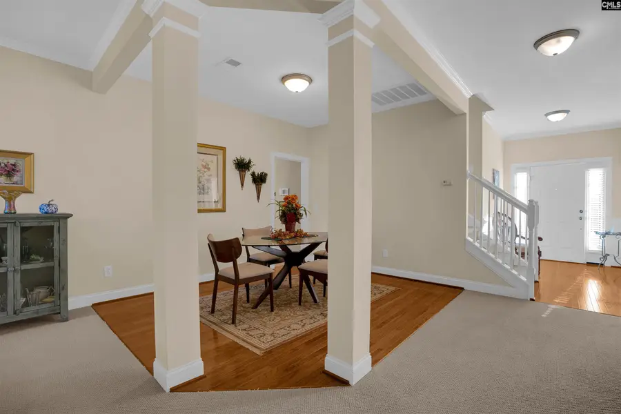 227 Fairway Ridge Drive, Chapin, SC 29036 - #3
