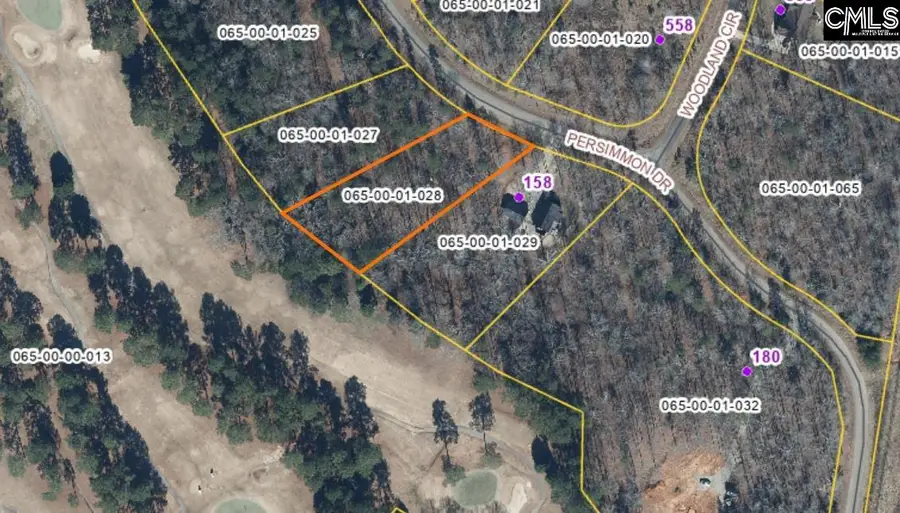 0 Persimmon Dr, Saluda, SC 29138 - #2