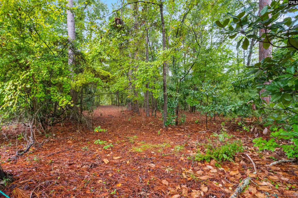 200 Leonard Circle, Camden, SC 29020 - #1
