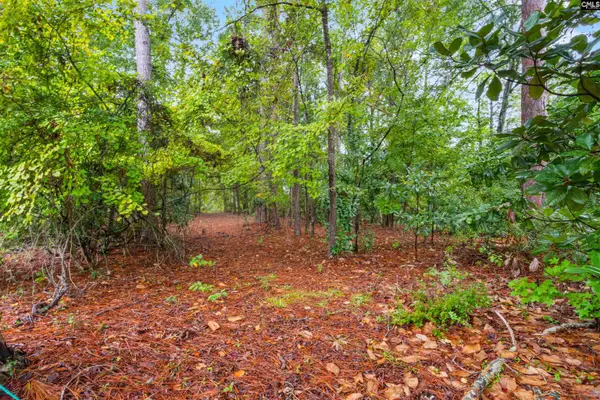 200 Leonard Circle, Camden, SC 29020