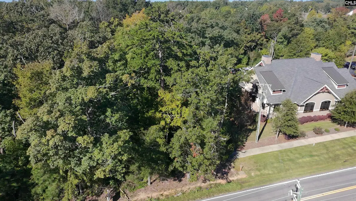 509 Lexington Avenue, Chapin, SC 29036 - #1