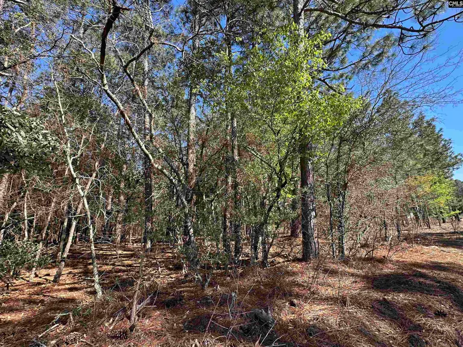 Lot 2 Mimosa Drive, Gaston, SC 29053 - #3