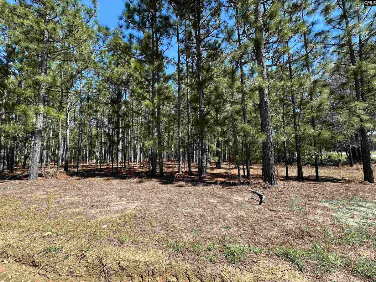 223 Mimosa Drive, Gaston, SC 29053 - #1