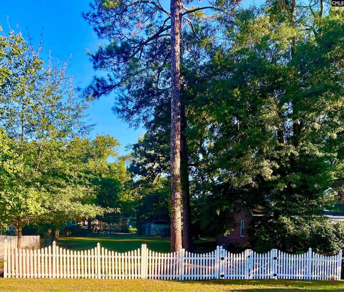 TBD B Avenue, West Columbia, SC 29169 - #1