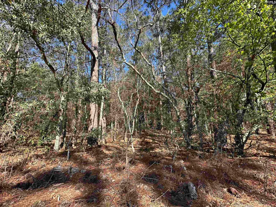 Lot 4 Mimosa Drive, Gaston, SC 29053 - #2