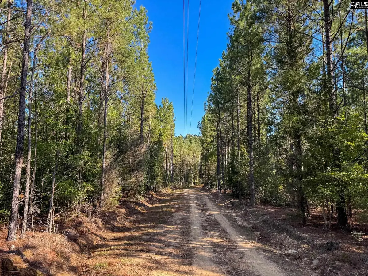 0 Lila Drive, Batesburg, SC 29006 - #1