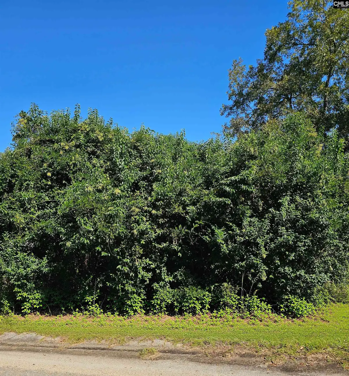 204 Harvin Avenue, Manning, SC 29102 - #1