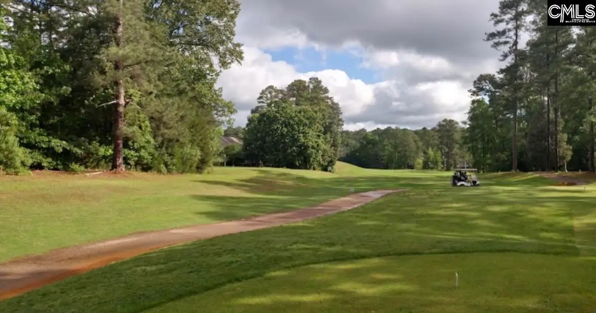 509 Misty Banks Drive, Chapin, SC 29036 - #1