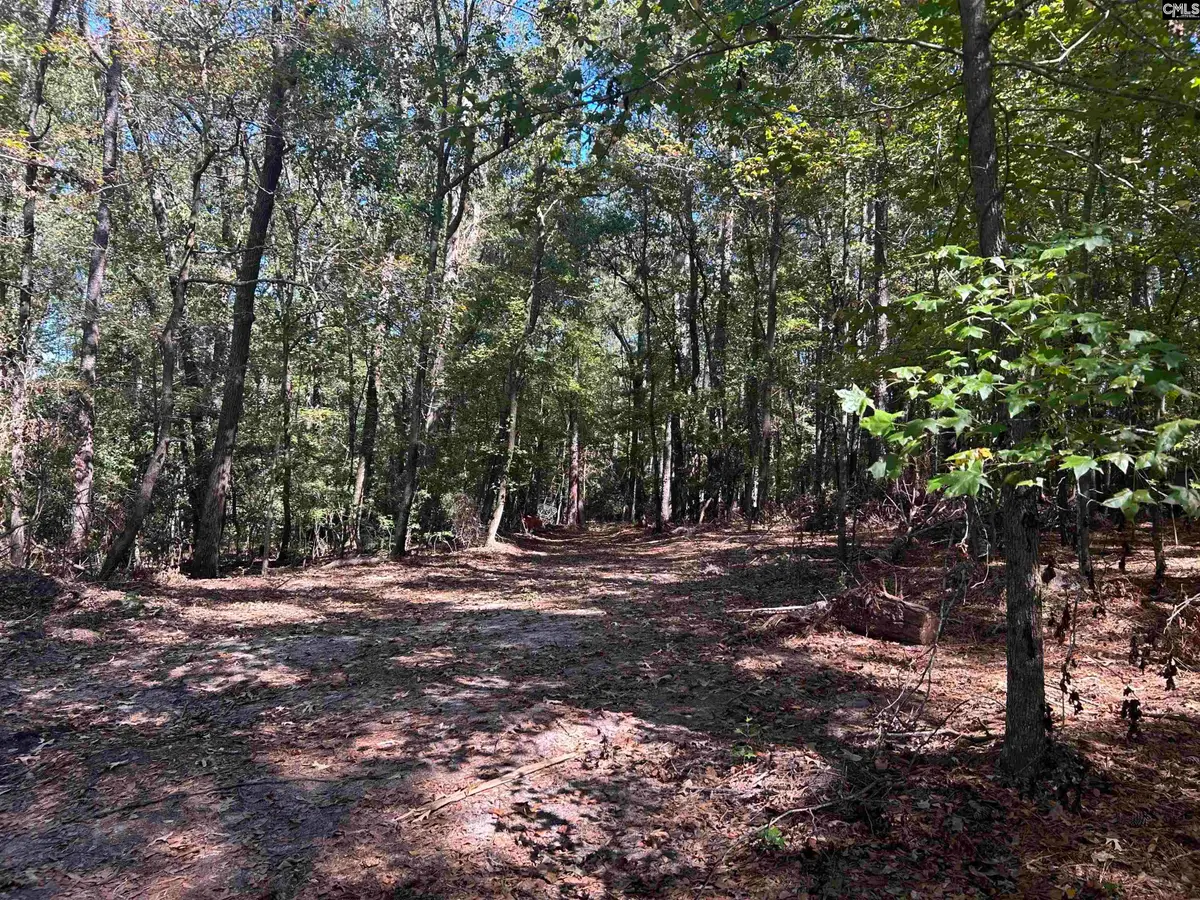 0 Swamp Rabbit Rd, Leesville, SC 29070 - #1