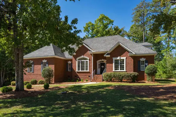 311 Lookout Hill Drive, Chapin, SC 29036