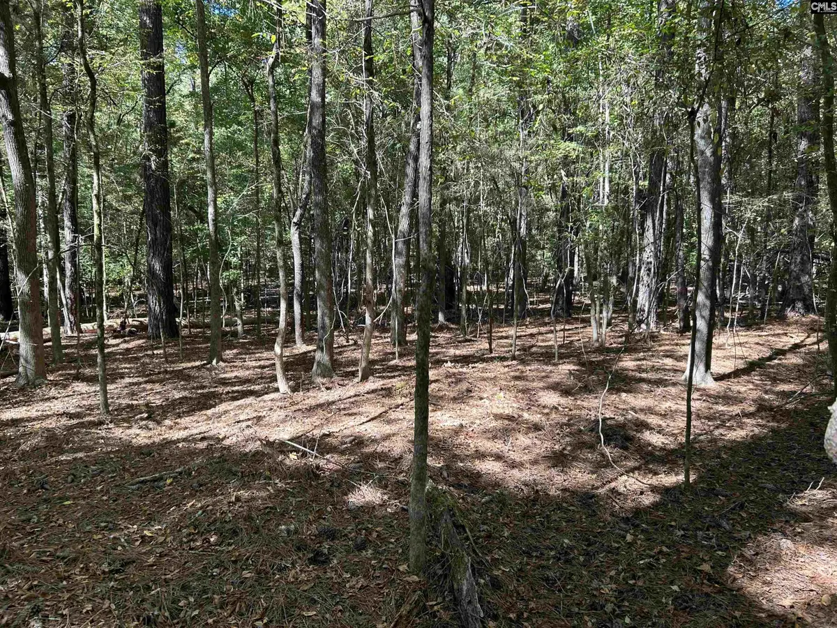 156 Indian Cove Road, Chapin, SC 29036 - #1