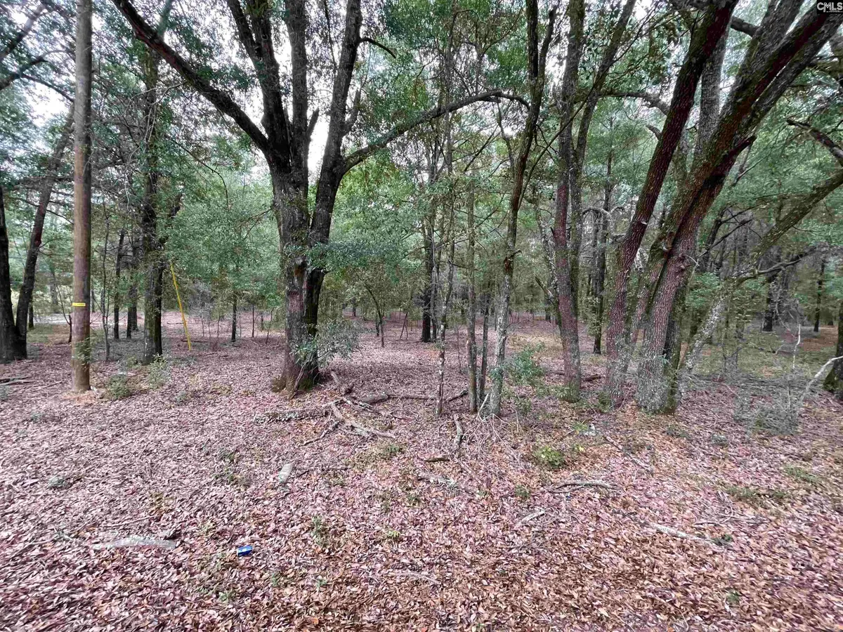 Lot F Warbonnet Road, Salley, SC 29137 - #1
