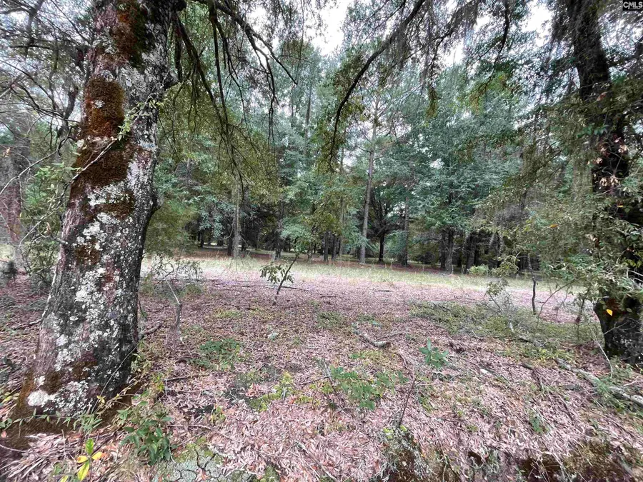 Lot F Warbonnet Road, Salley, SC 29137 - #2