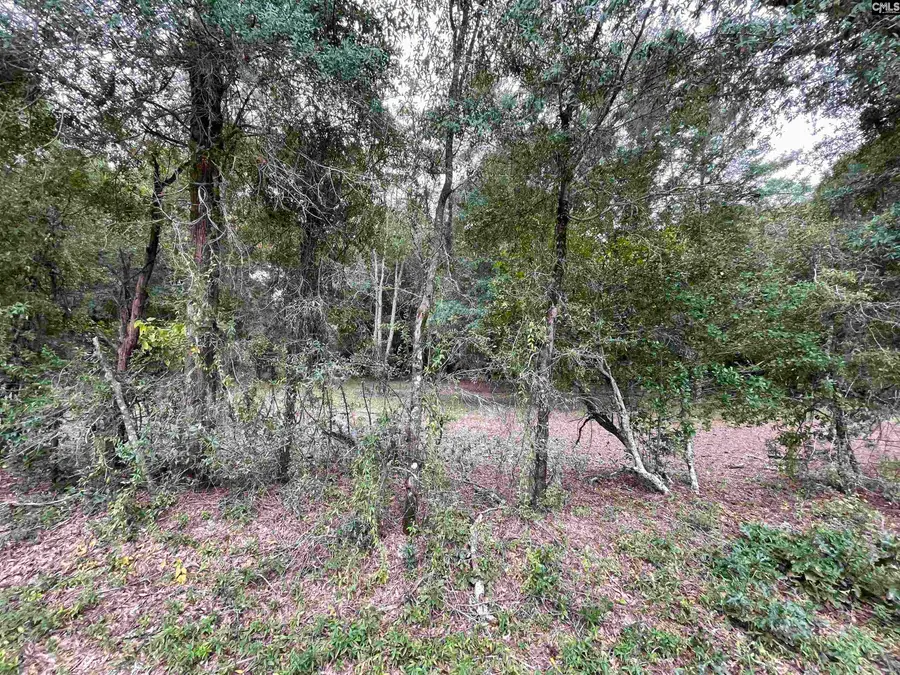 Lot F Warbonnet Road, Salley, SC 29137 - #3