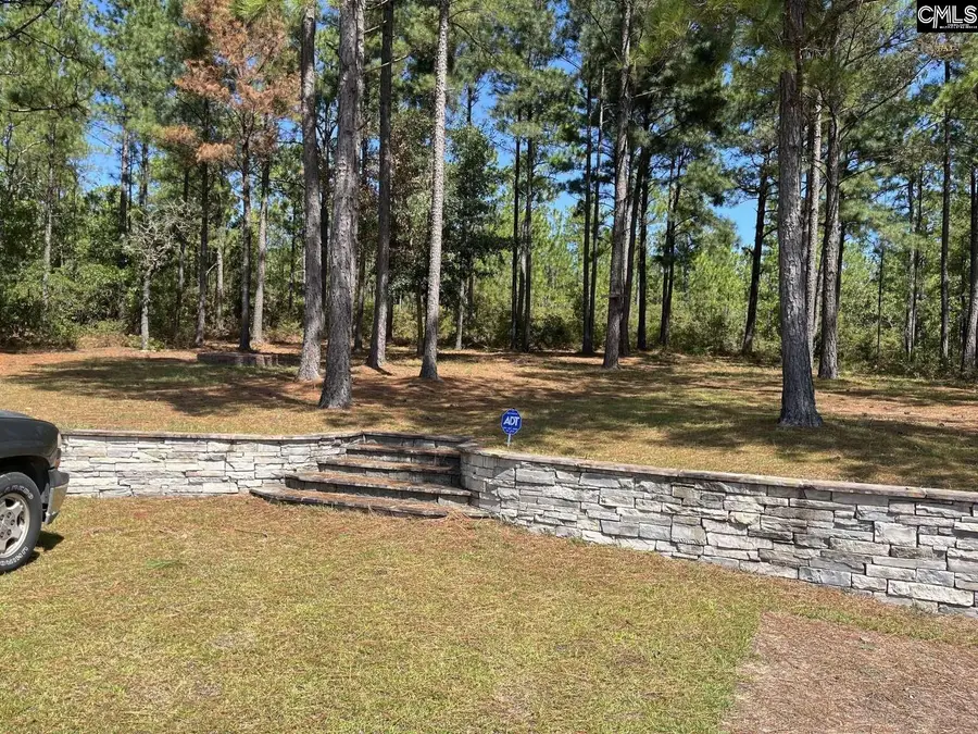 137 Farm Chase Drive, Lexington, SC 29073 - #3